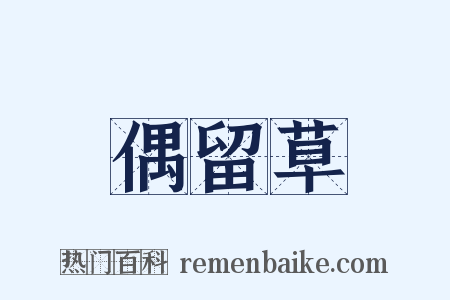偶留草是什么意思的图片